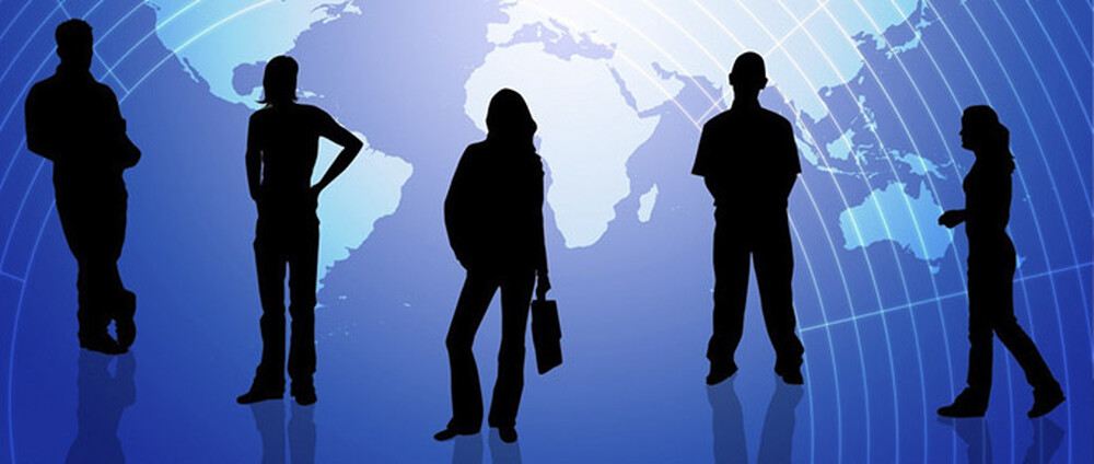 Les services aux professionnels